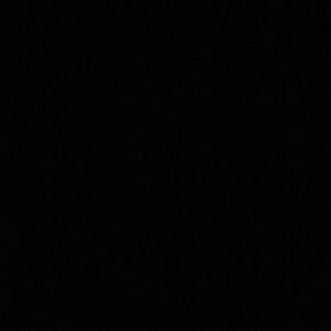 Meet your Posher, Dawson