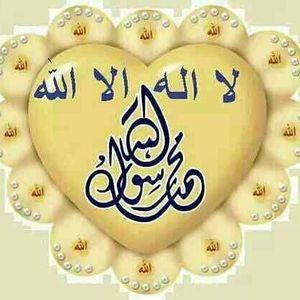 Meet your Posher, Botina