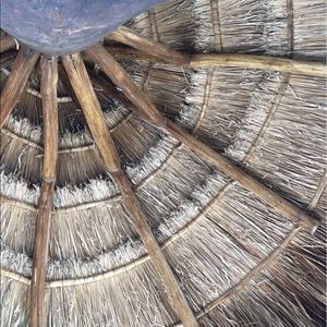 Meet your Posher, Joey