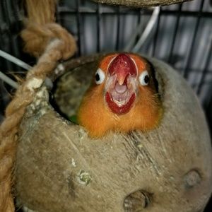 Meet your Posher, Ruby