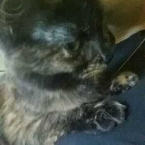 Meet your Posher, Rosa