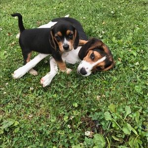 Meet your Posher, Rhonda