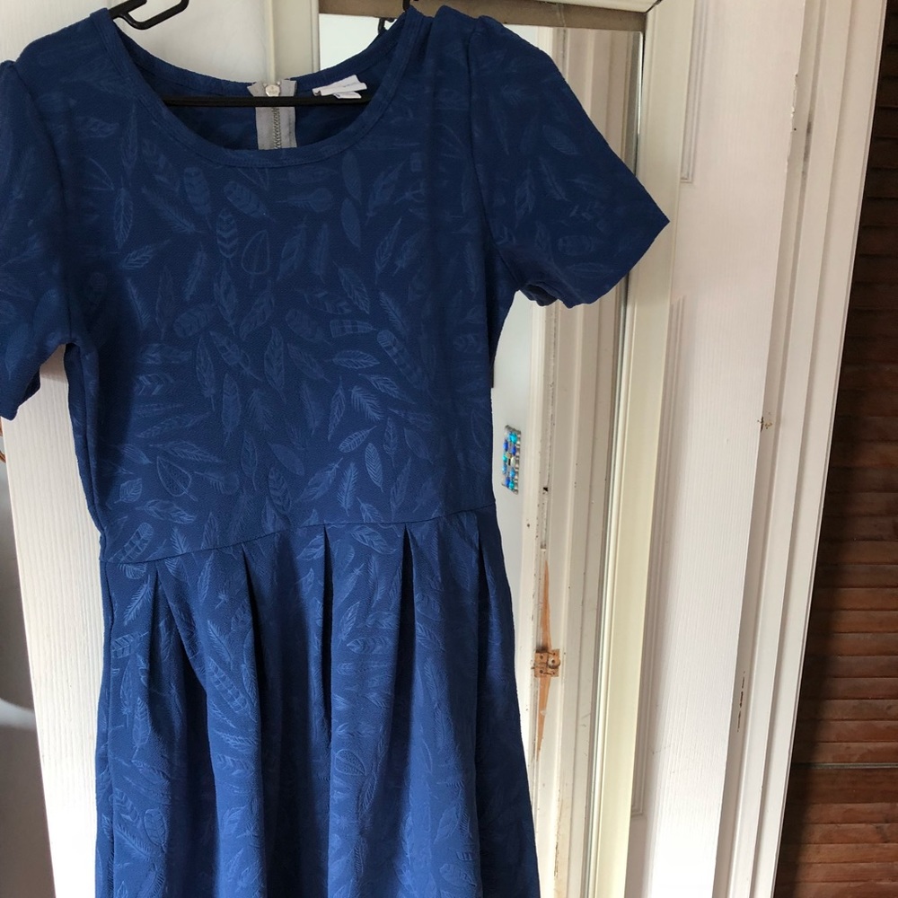 Amelia dress like new