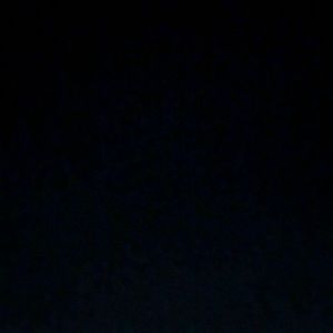 Meet your Posher, Vinny