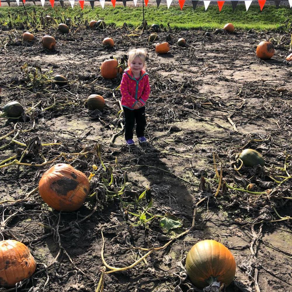 Meet your Posher, Kyara