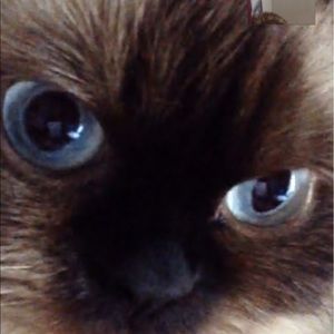 Meet your Posher, Terri