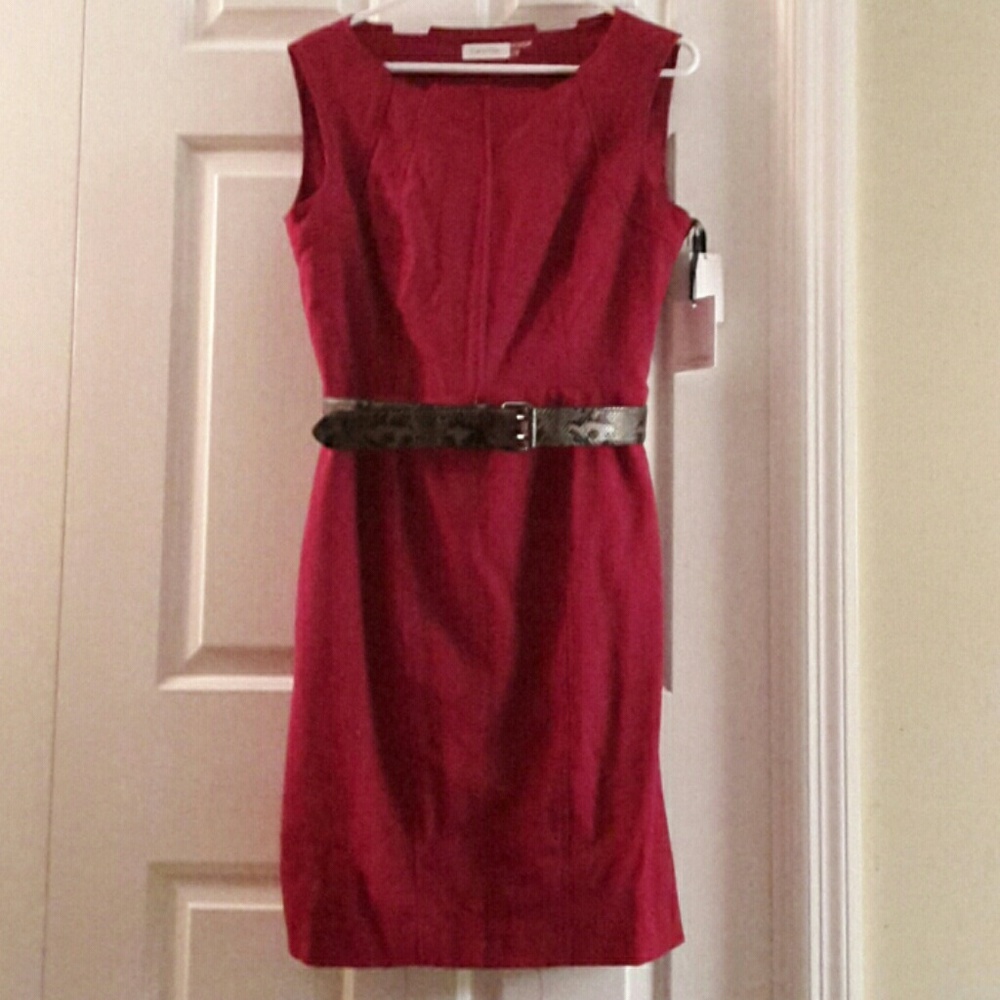 Calvin Klein Belted Dress in Burgundy. Sz 10