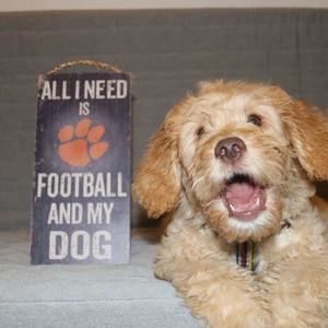 Meet your Posher, Eric