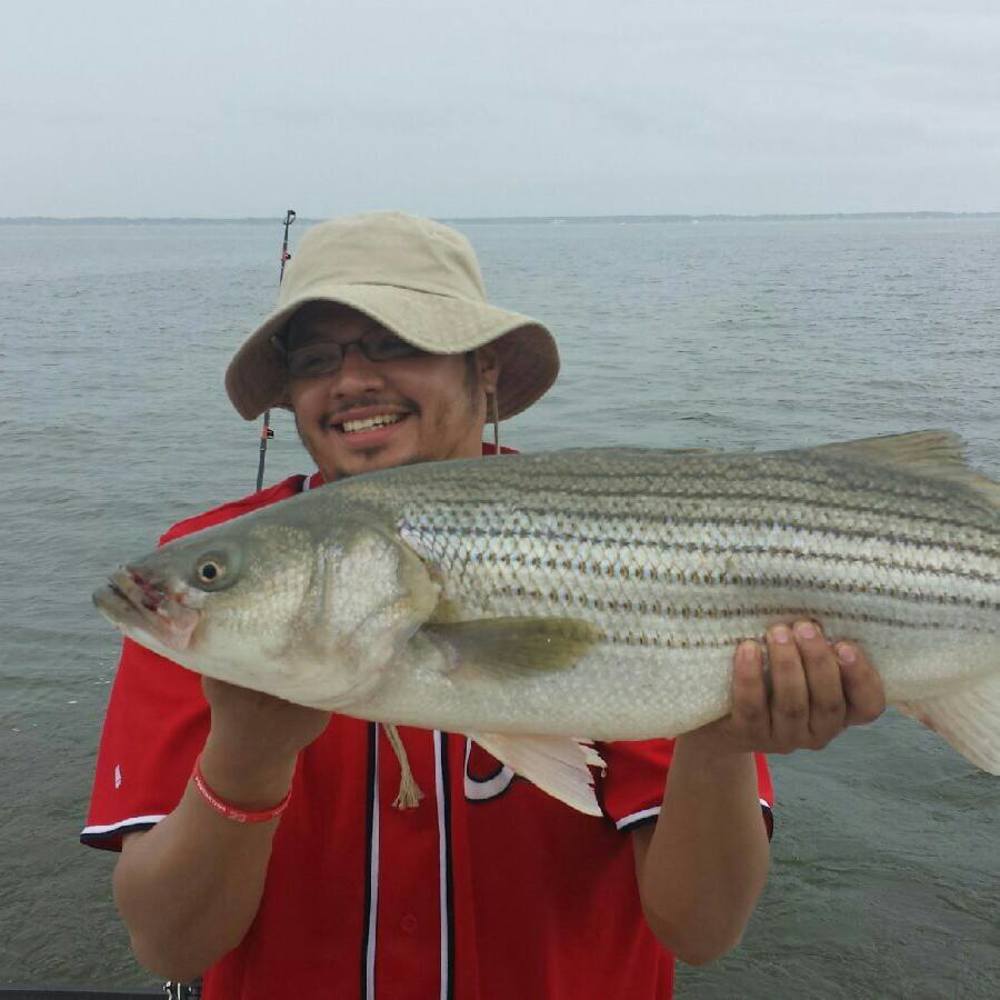 Meet your Posher, Edgardo