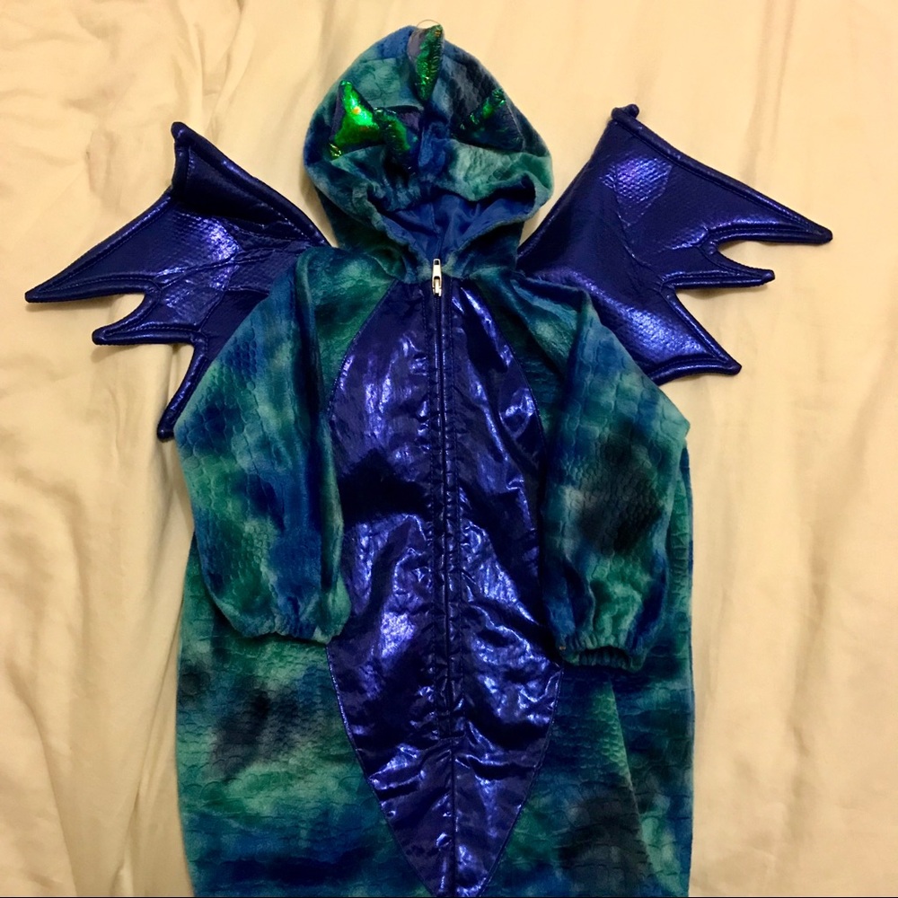 Adorable dragon costume