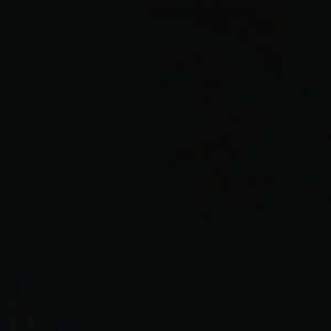 Meet your Posher, Trevor