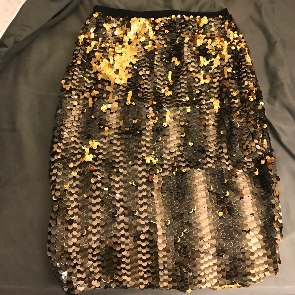 H&M Party Skirt