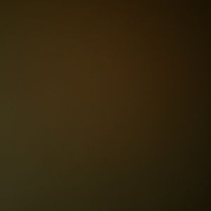 Meet your Posher, Brett