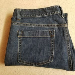 Ann Taylor Modern Fit Lindsay Waist Size 12