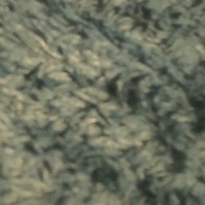 Meet your Posher, Alaina