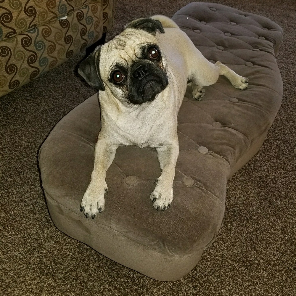 Meet your Posher, Aurora