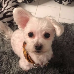 Meet your Posher, Andrea