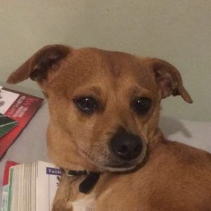 Meet your Posher, Ronald