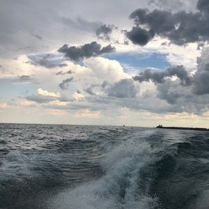 Meet your Posher, Tony