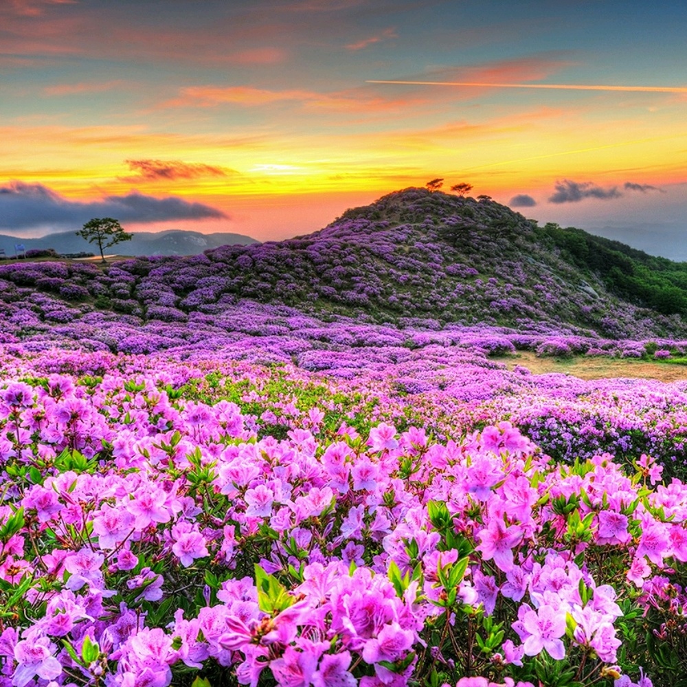 Meet your Posher, Jami