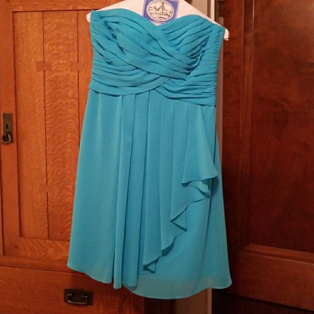 dress - David's bridal style f14847 in malibu.