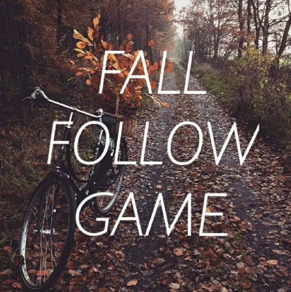 Follow Game!