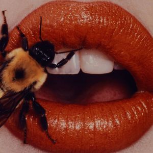 Meet your Posher, Gilberto