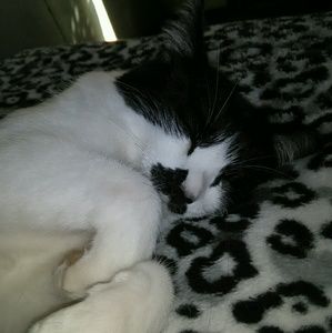 Meet your Posher, Rachael