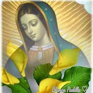 Meet your Posher, Pamela