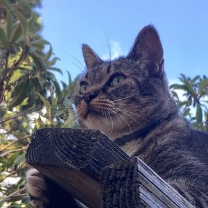 Meet your Posher, Sydni