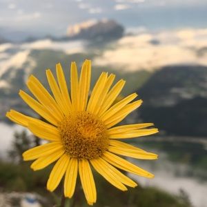 Meet your Posher, Ben