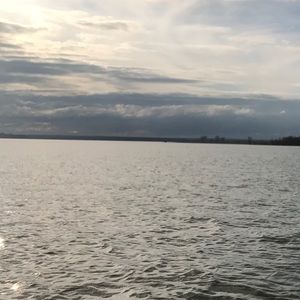 Meet your Posher, Harry