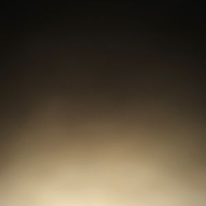 Meet your Posher, Cody