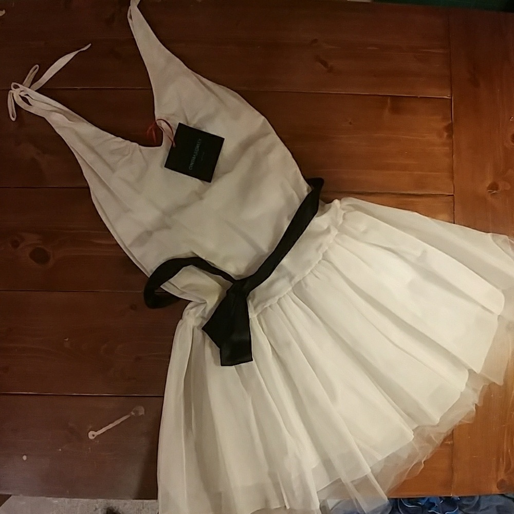 Ballet tulle dress, NWT Cynthia Rowley