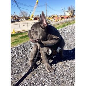 Meet your Posher, Michael