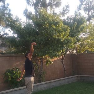 Meet your Posher, Perminder