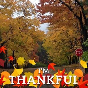 Meet your Posher, Filiz