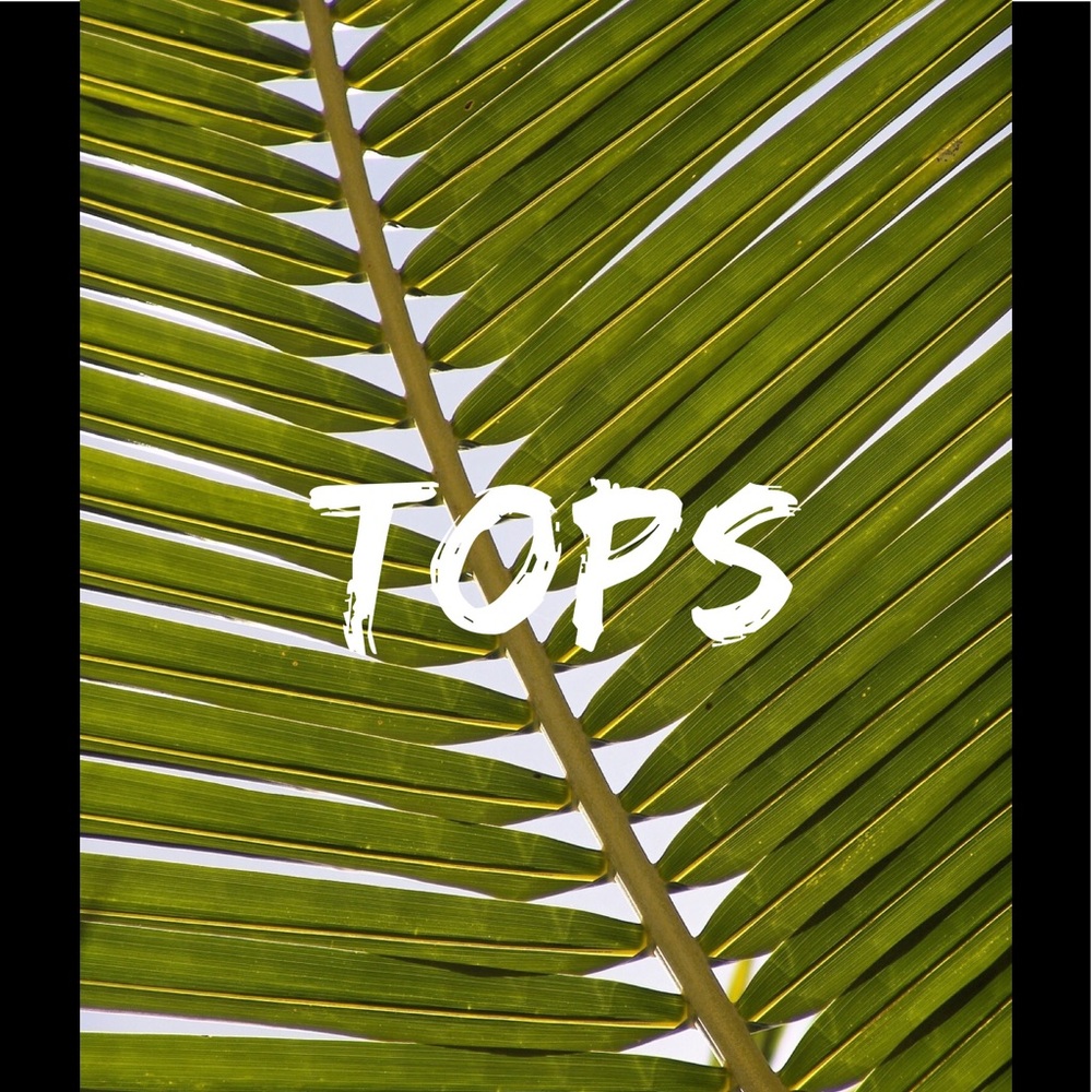 All Kinds of Tops