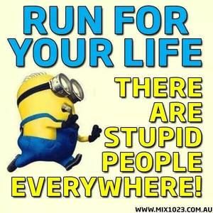 Meet your Posher, Venus