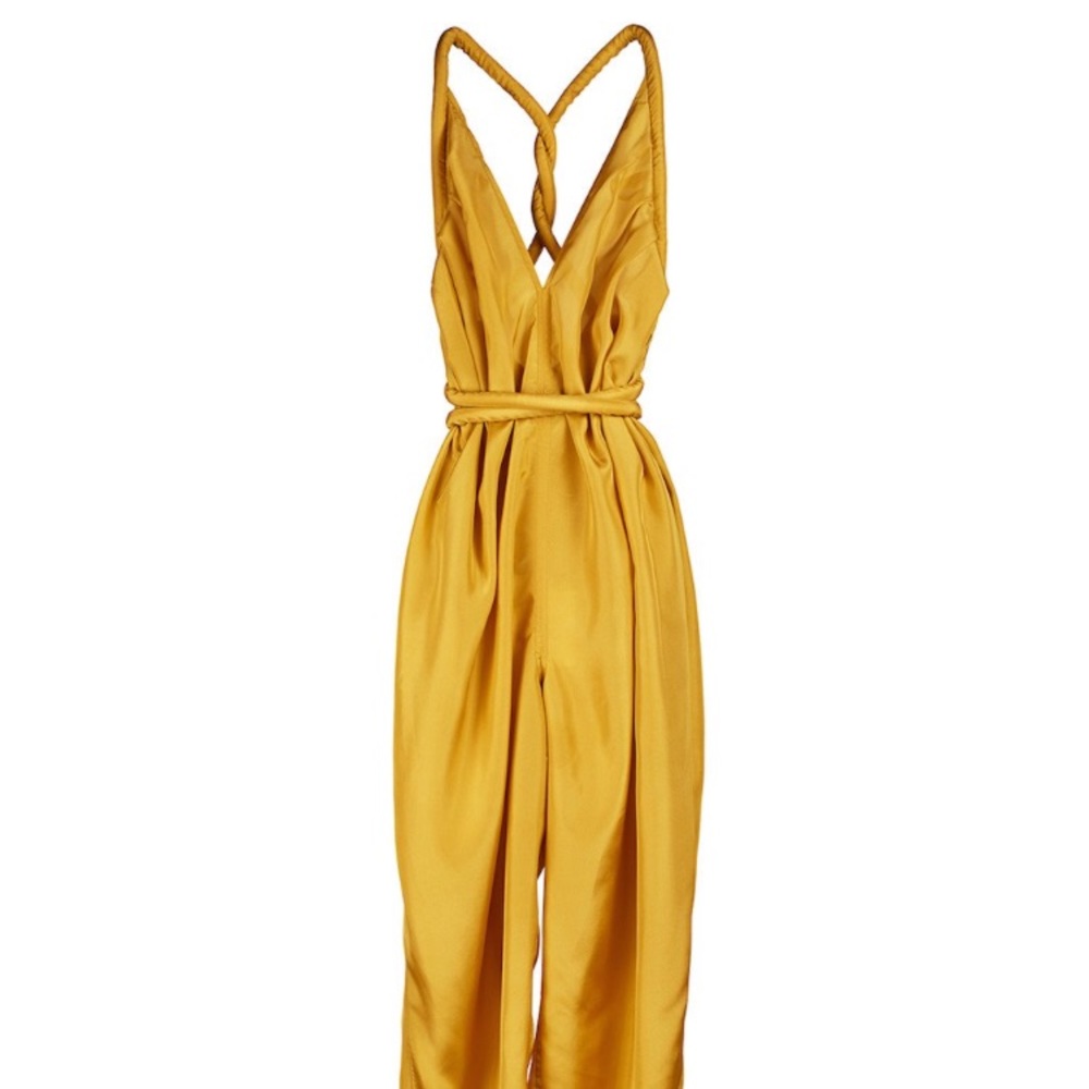 ISO: Electric Feathers Infinite Rope Jumpsuit