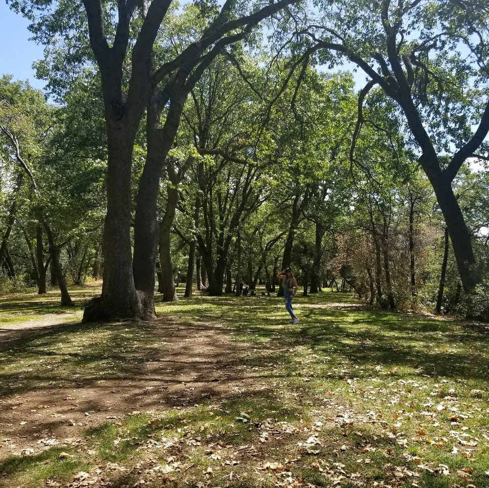 Meet your Posher, Clarisa