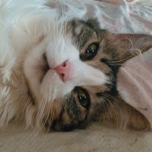 Meet your Posher, Laura