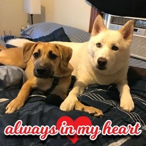 Meet your Posher, Debbie