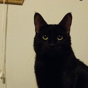 Meet your Posher, Summer