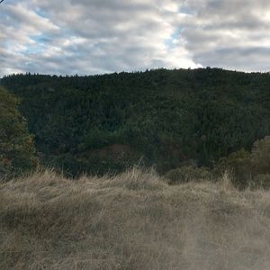 Meet your Posher, Noor