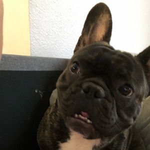 Meet your Posher, Jorge