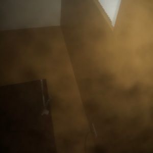 Meet your Posher, Oscar