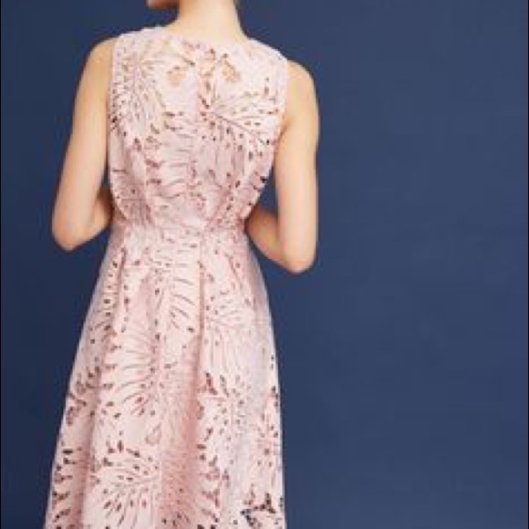 Anthropologie palm & lace dress by Eva Franco - Picture 3 of 4