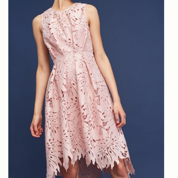 Anthropologie palm & lace dress by Eva Franco - Picture 1 of 4