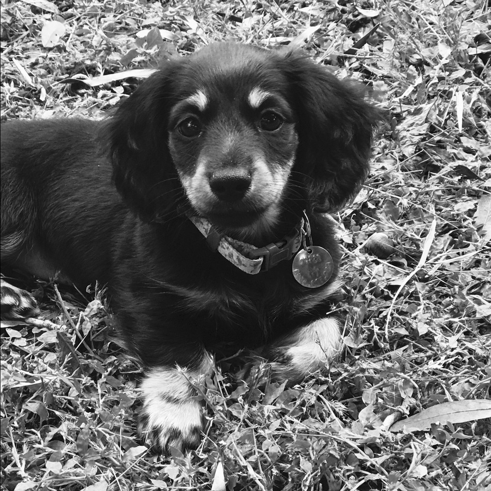 Meet your Posher, Tara